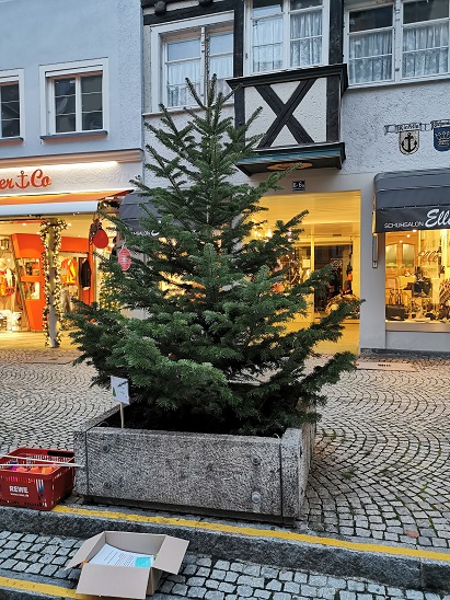 Weihnachtsbaum ungeschmückt